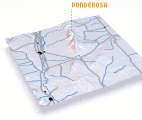 3d view of Ponderosa