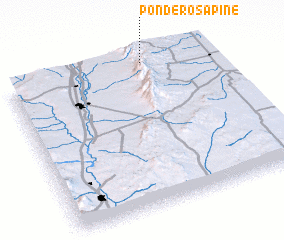 3d view of Ponderosa Pine