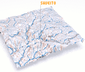 3d view of Saveito
