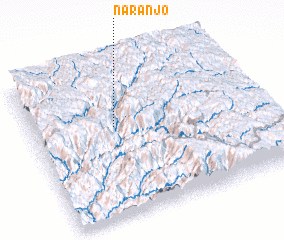 3d view of Naranjo