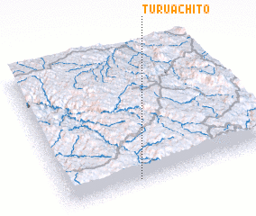 3d view of Turuachito
