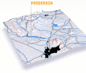 3d view of Ponderosa