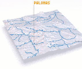 3d view of Palomas