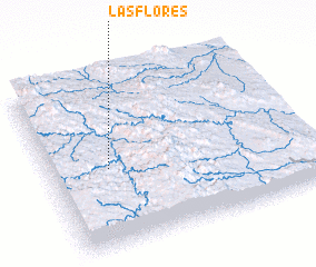 3d view of Las Flores