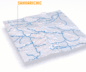 3d view of Sahuarichic