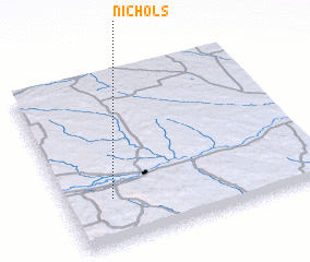 3d view of Nichols