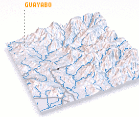 3d view of Guayabo