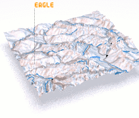 3d view of Eagle