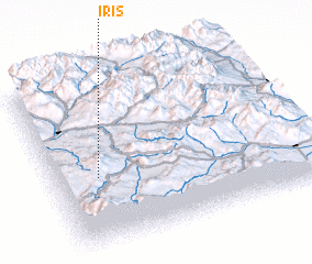 3d view of Iris