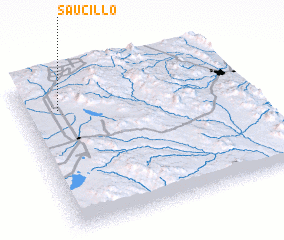 3d view of Saucillo