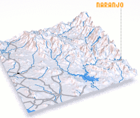 3d view of Naranjo