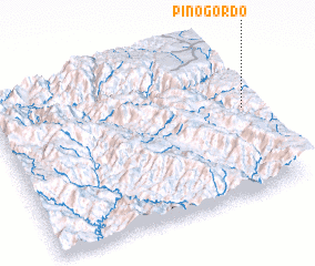 3d view of Pino Gordo