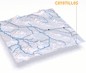 3d view of Coyotillos