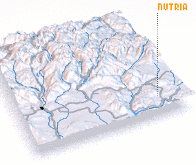 3d view of Nutria