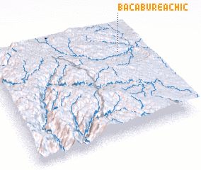3d view of Bacabureachic