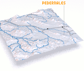 3d view of Pedernales