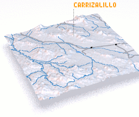 3d view of Carrizalillo