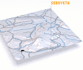 3d view of Seboyeta