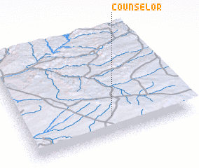 3d view of Counselor