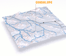 3d view of Guadalupe