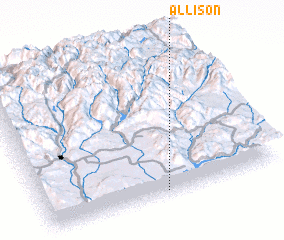 3d view of Allison