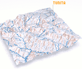 3d view of Tunita