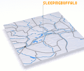3d view of Sleeping Buffalo