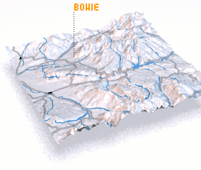 3d view of Bowie