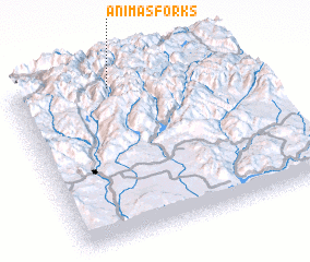 3d view of Animas Forks