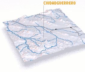 3d view of Ciudad Guerrero