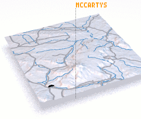 3d view of McCartys