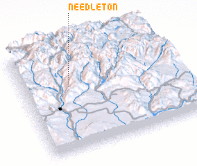 3d view of Needleton