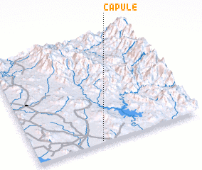 3d view of Capule