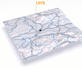 3d view of Loyd