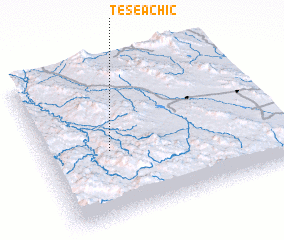 3d view of Teseáchic