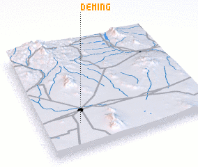 3d view of Deming