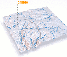 3d view of Camigo