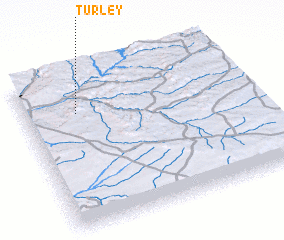 3d view of Turley