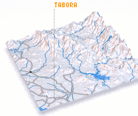 3d view of Tabora