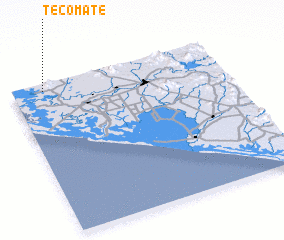 3d view of Tecomate