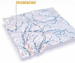 3d view of Pusanachic