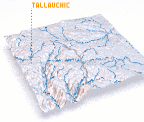 3d view of Tallauchic