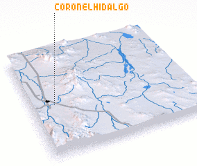 3d view of Coronel Hidalgo