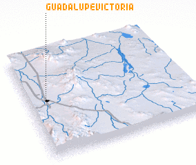 3d view of Guadalupe Victoria