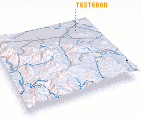 3d view of Testerón