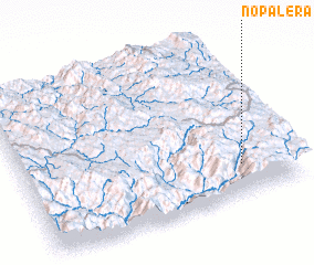 3d view of Nopalera