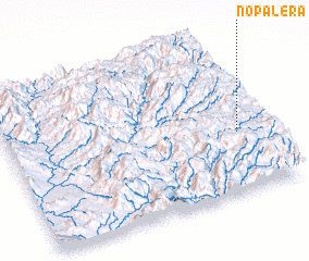 3d view of Nopalera