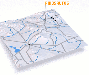 3d view of Pinos Altos