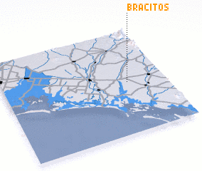 3d view of Bracitos