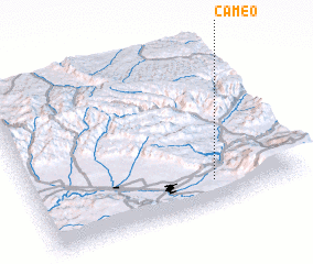 3d view of Cameo